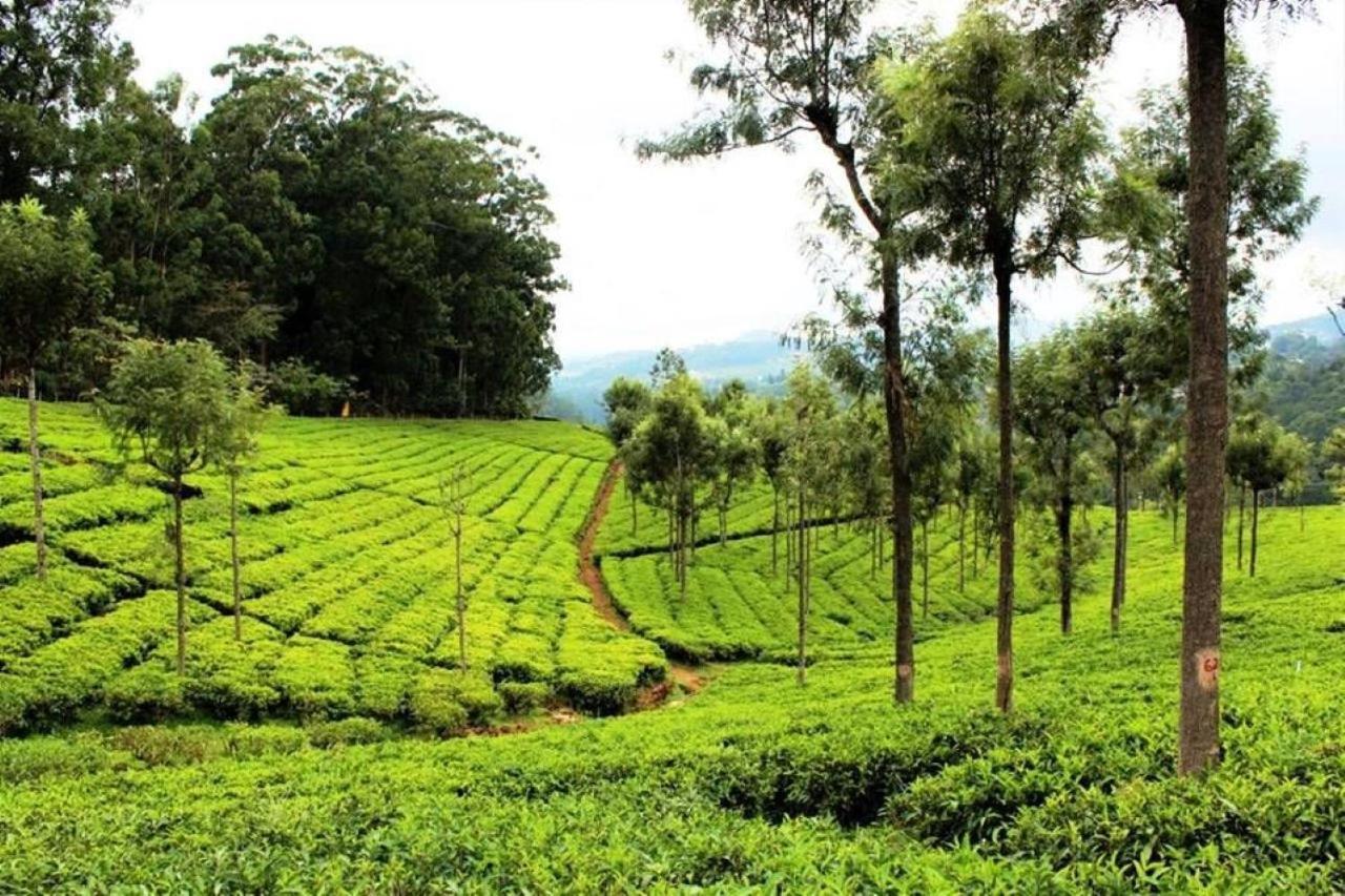 Blusalz Homes - One Lovedale, Ooty - Tamil Nadu Exterior foto